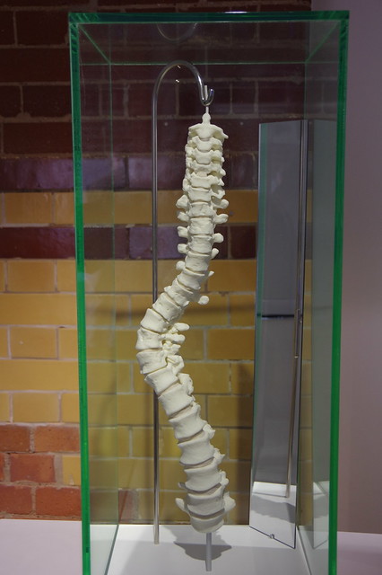 A Model of Richard III's Backbone