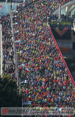 Maraton y 10K Valencia 2015