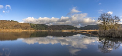 albertwirtz eifel vulkaneifel maar volcaniclake wandern hiking meerfeld meerfeldermaar tourismus water reflections spiegelung panorama rheinlandpfalz rhinelandpalatinate deutschland germany europa europe allemagne duitsland angeln schilf kratersee wolken clouds landesblick