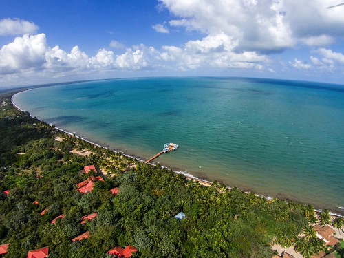 Hamanasi Resort