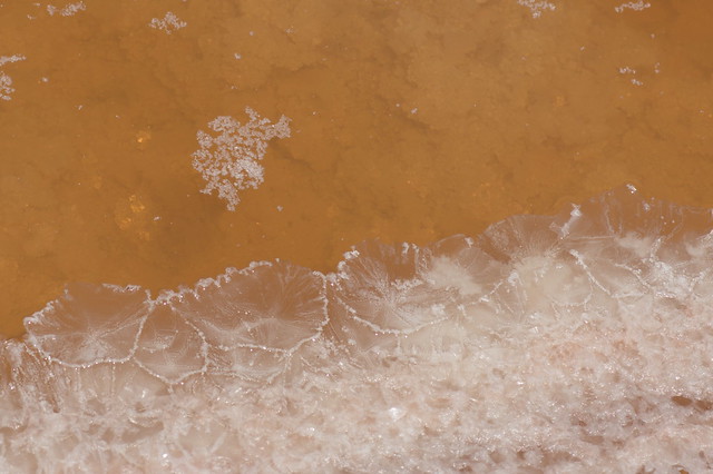 cristalización de sal en las cubetas de la salina