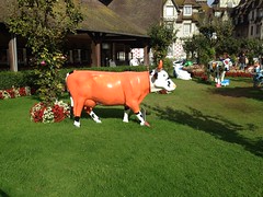 Cow parade Deauville