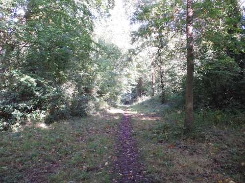 Marks Hill Nature Reserve, Path (II) SWC Walk 114 Laindon Circular