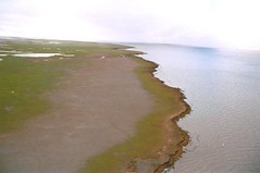 Ellice Island, Mackenzie Delta