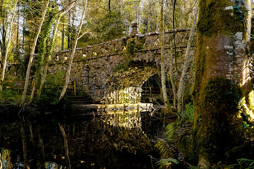 park leica bridge ireland sunlight forest lumix canal panasonic summilux 15mm boyle roscommon f17 gh3 loughkey