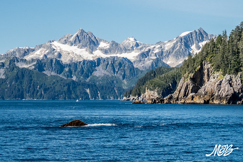 Kenai Fjords NP, Seward