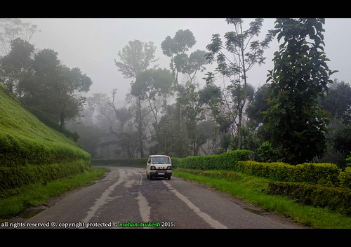 mist nature car national monsoon greenery karnataka lanscape omni mangalore chikmagalur mistical aldur malenadu westernghat nh173
