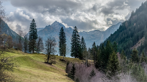 trees mountain clouds landscape austria österreich outdoor berge mountainside schladming landschaft bäume steiermark styria tauern niederetauern untertal