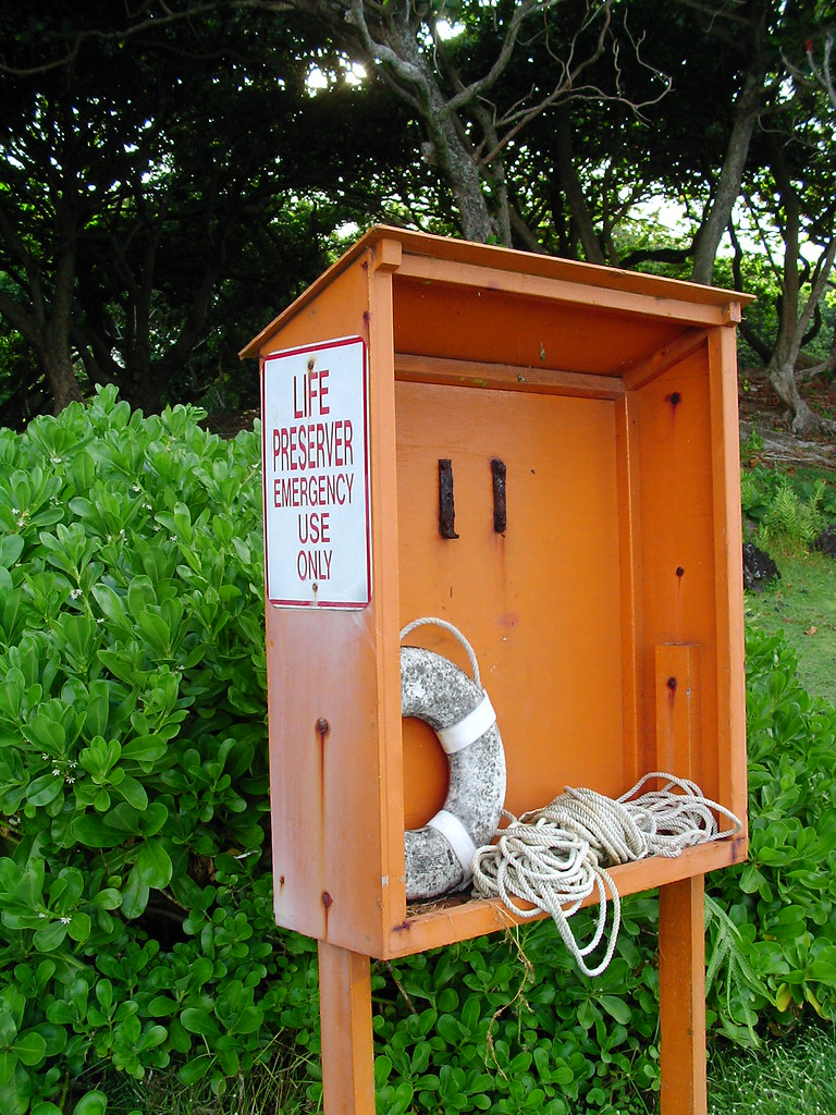 Life Preserver