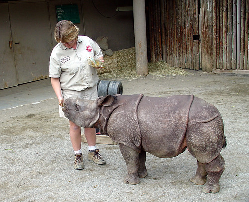 Echo Baby Rhino | Echo is a baby Indian Rhino, born on Jan 7… | Flickr