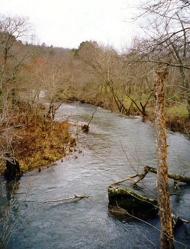 arkansas batesville nature creek saladocreek water stream thesouth winter h2o film scan old march 1998 scanned 35mm geotagged mapped location copyright copyrightbybennylasiter ©allrightsreserved © allrightsreserved© unauthorizeduseprohibited hwy167 huff ar unauthorizedusestrictlyprohibited allcommercialuseprohibited allrightsreserved 500px commercialusestrictlyprohibited