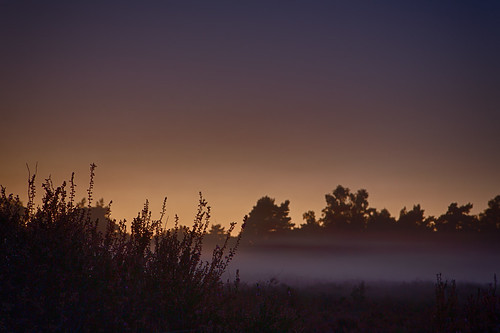 sunset fog by Frank van Eck, sunset netherlands nl limburg staatsbosbeheer herkenbosch npmeinweg
