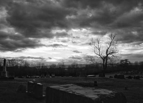 sunrise cemetery berryvilleva greenhillcemetery tree monochrome