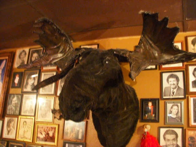 The Moose Head!