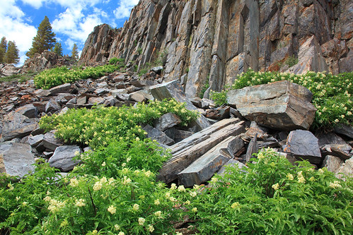 Basalt Columns | by Gavin Emmons