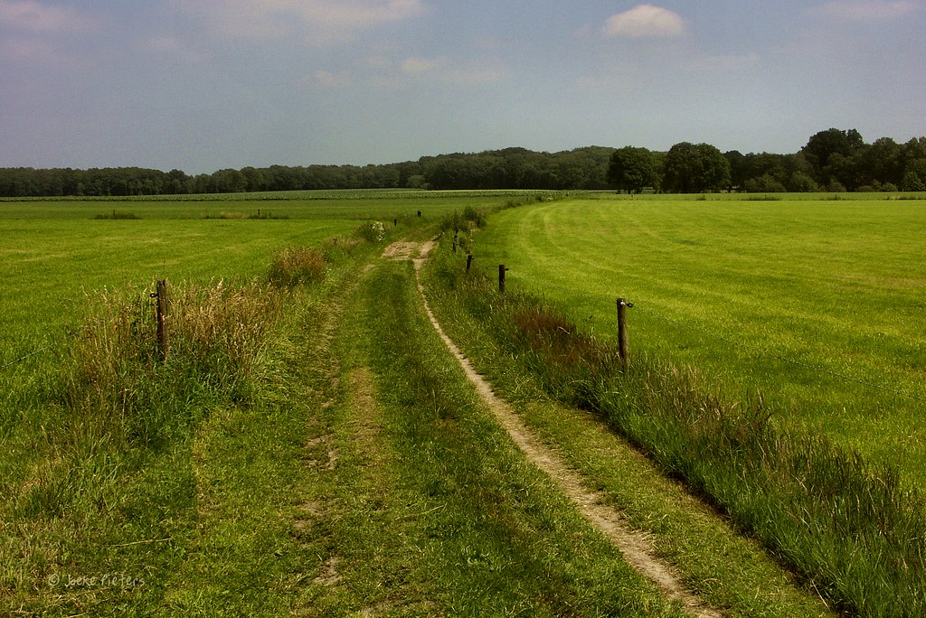 Through the fields by joeke pieters