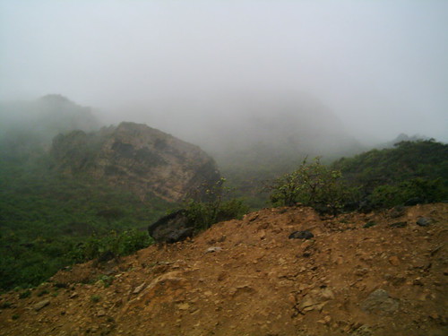 Fog الضباب 4 | by raj3elsada
