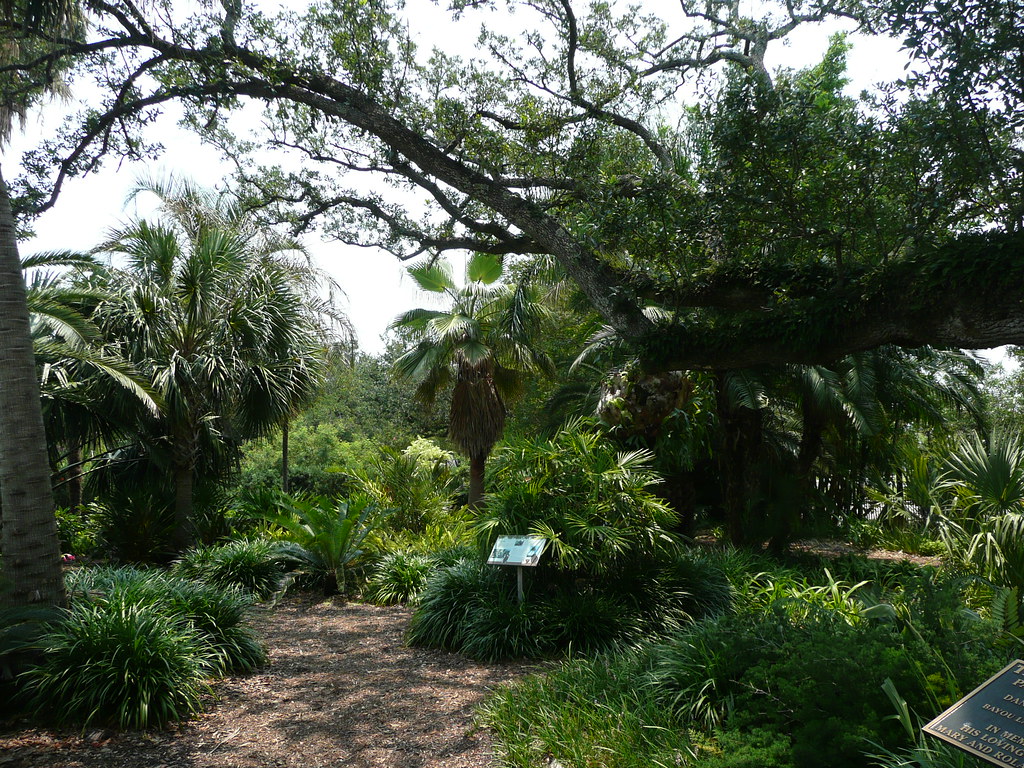 New Orleans Botanical Garden City Park New Orleans Flickr