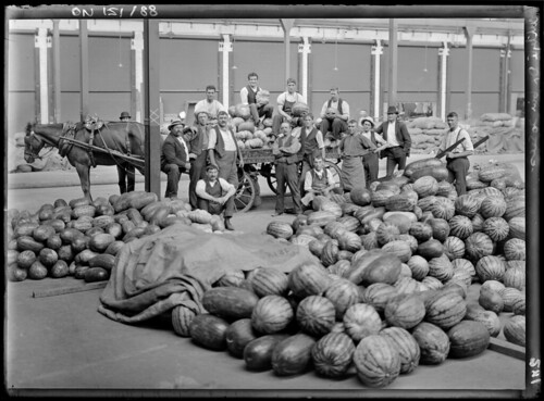 Sydney markets, by Rex Hazlewood, c. 1911-1916 | by State Library of NSW