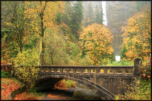 bridge autumn fall nature water beautiful season scenic multnomah mutlnomahfalls multnomahfallscolumbiarivergorge colorphotoaward