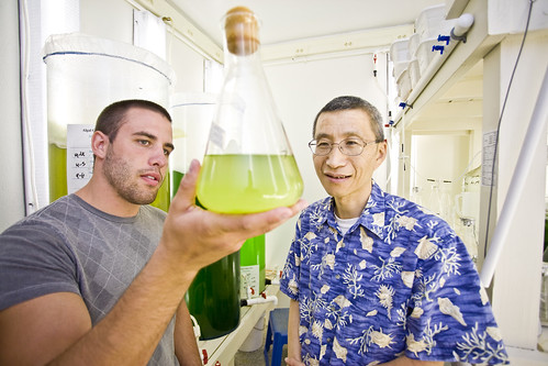Dr. Juna Lin and Student Discussing Microalgae Culture