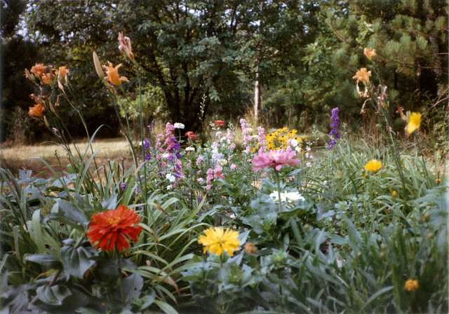 Island Flower Bed late summer 1984