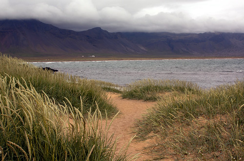 Dunes | by judepics
