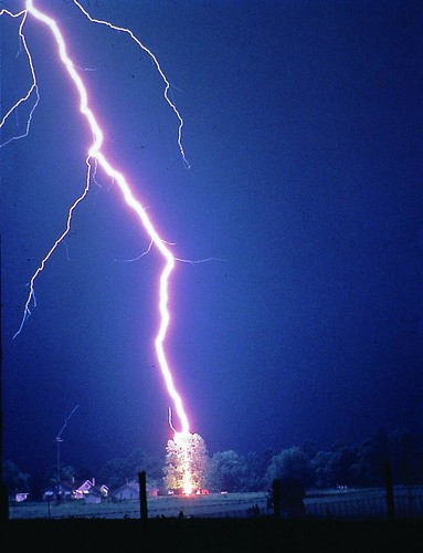 Natural Lightning Hitting a Tree
