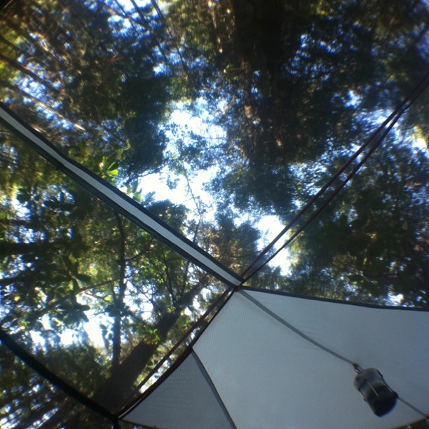 Mountain Top Trail