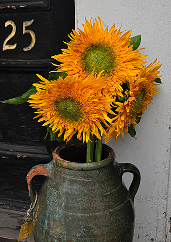 Sunflowers by Images by Arden