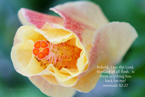 I am the Lord | by phanstroni