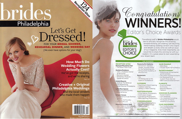 We won a 2011 Editor's Choice Award for Cake Design from Philadelphia Brides magazine!