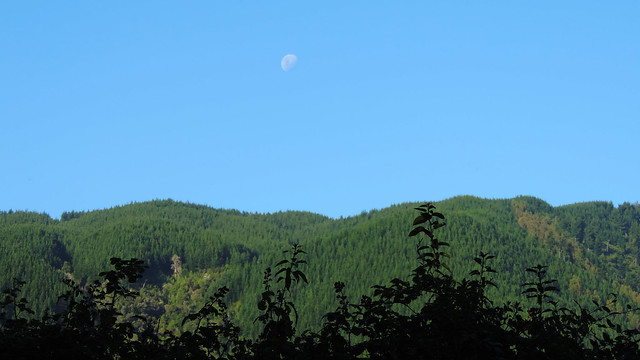 Moon Over the Mountains