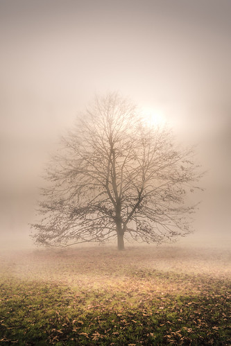 Fog | by klausi1983