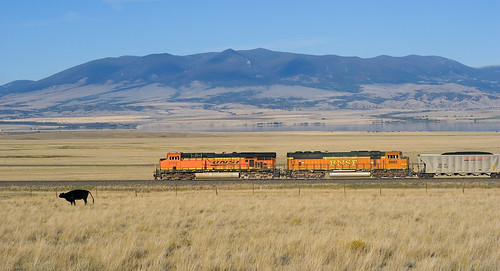 bnsf montanaraillink coaltrain train bovine cow railroad winstonhillmontana montana mrl2ndsubdivision mrl bnsf5753