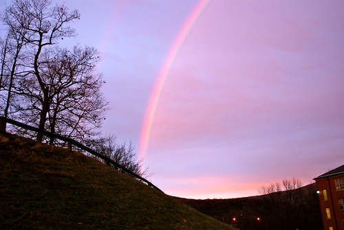 Hartwick Rainbow