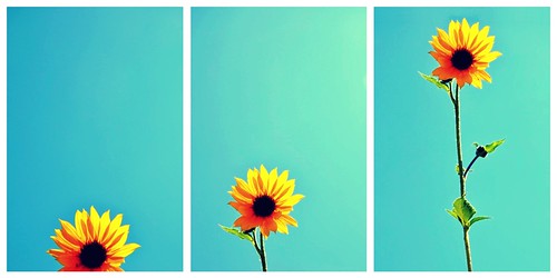 020 || walking on sunshine // katrina & the waves | by oheveiho2