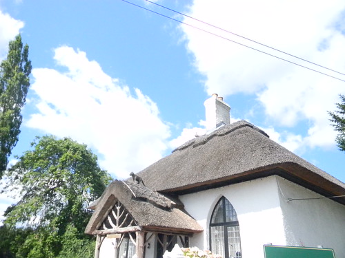 Cat on a hot thatched roof Merstham to Tattenham Corner
