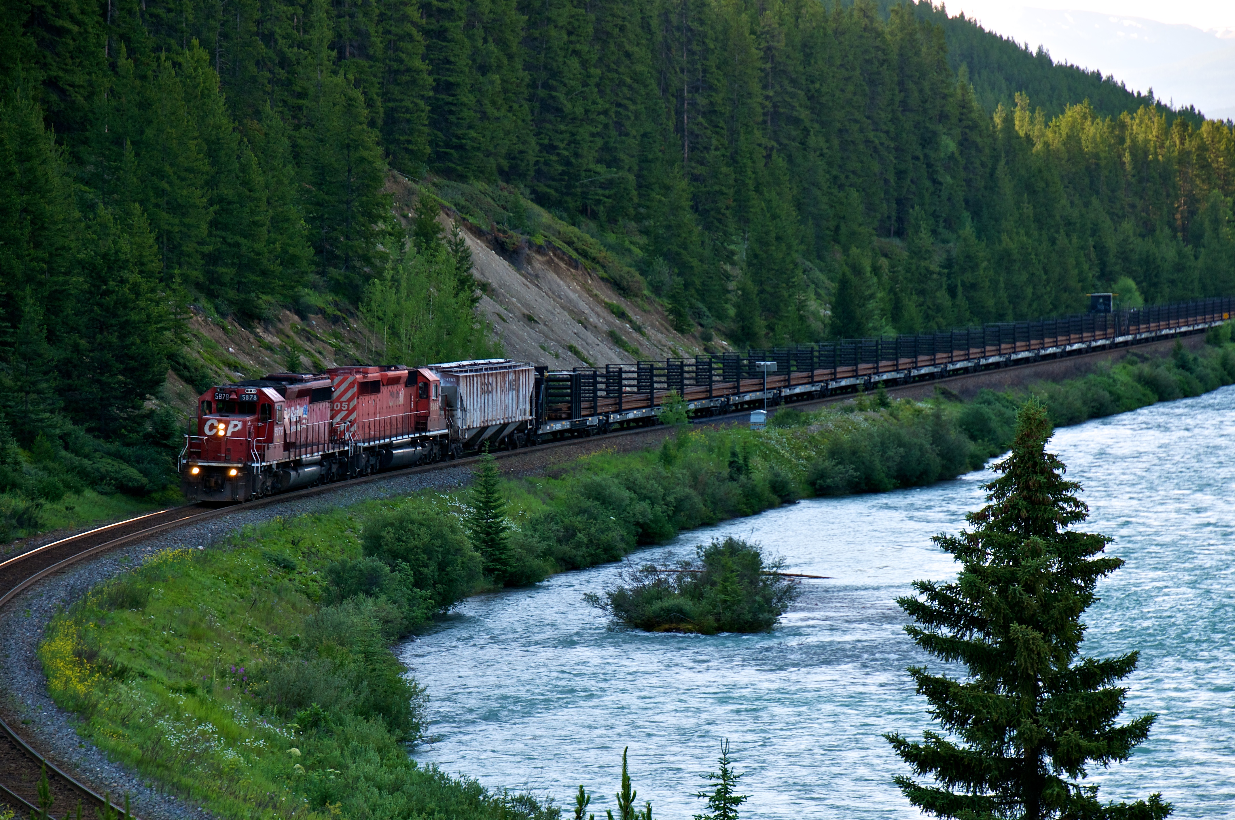 Train in Banff National Park
