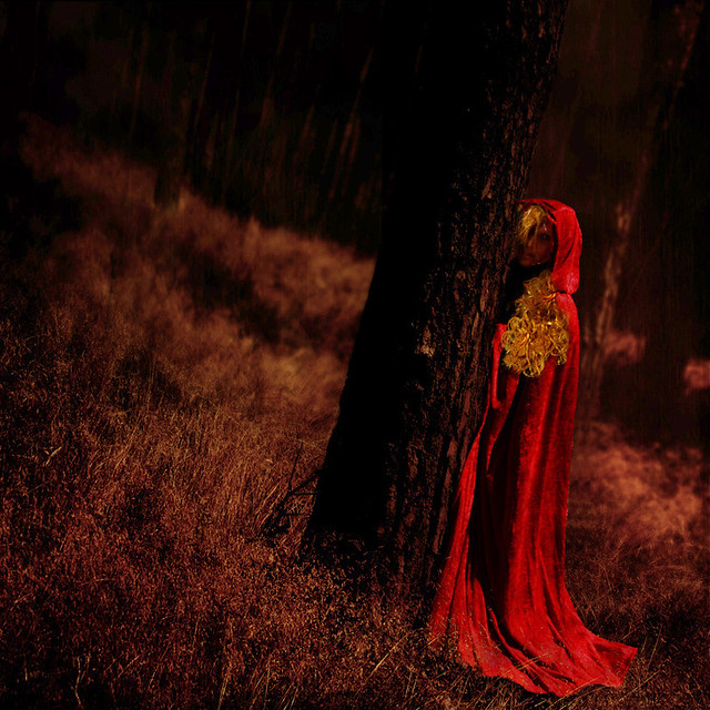 ~ little red riding hood ~