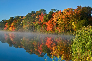 Calm morning Fall colors