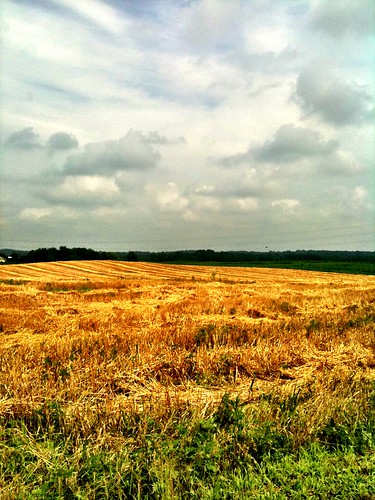 summer field clouds with view farm wheat country taken july an 3gs iphone farmfield 2011