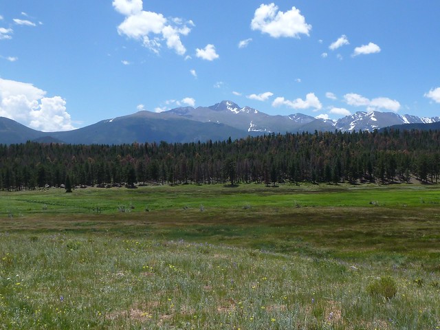 Meadow View