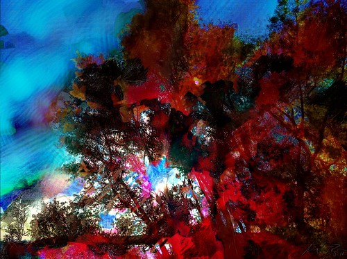 trees sunset lake painterly color reflection texture mike mobile landscape october dream surreal photographic canvas kansas abstraction impressionist maap ryon fingerpainted iphone artstudio layered brushstroke emulate fingerpainter iphoneart awardtree fingerpaintedit flynryon ipaintings iamda