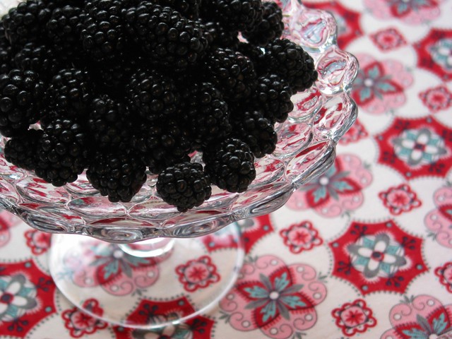 Blackberries From the Garden