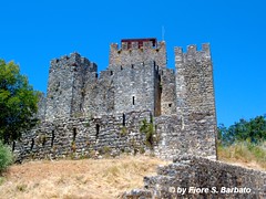 Castelo de Pombal [P], 2011.