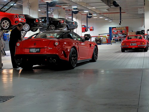 GTO = Epic | by MelbourneExotics