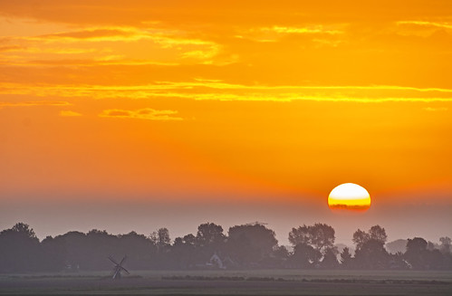 orange sun sunrise glow nederland friesland sunup fryslan bolsward boalsert dsc2262 augsept2015 treesnikond7100 fryslanvisit