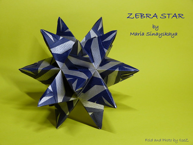 ZEBRA STAR by Maria Sinayskaya
