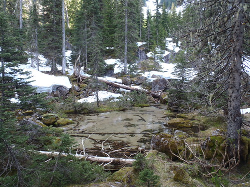 High lake